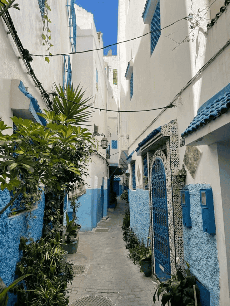 ميناء طنجة المتوسط ​​والعبّارة من إسبانيا: دليل تسليم تأجير السيارات